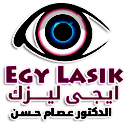 logo egylasik
