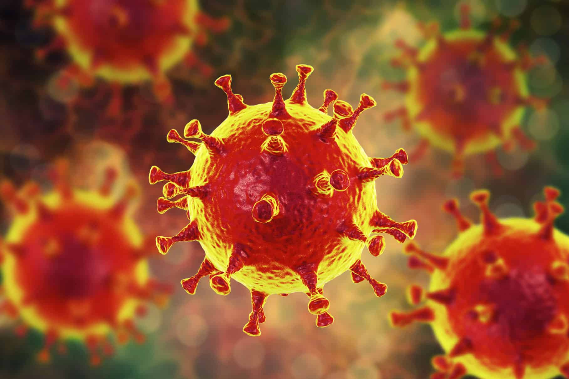 coronavirus2