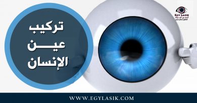 eyes parts