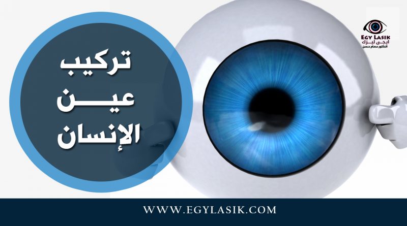 eyes parts