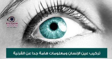 cornea and contact lenses