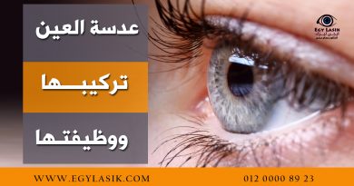 eye iris