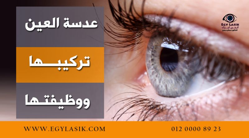 eye iris